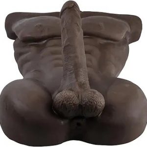 david male body torso